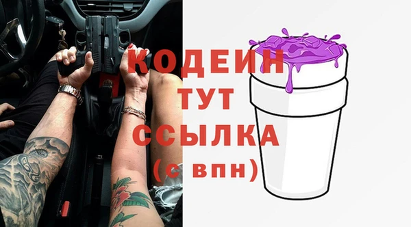 крисы Бикин