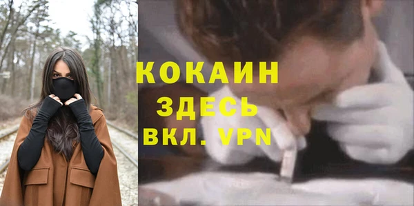 стафф Алексин