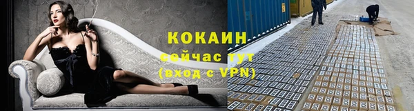 стафф Алексин