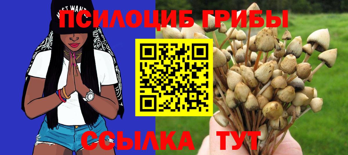 Псилоцибиновые грибы мухоморы Конаково